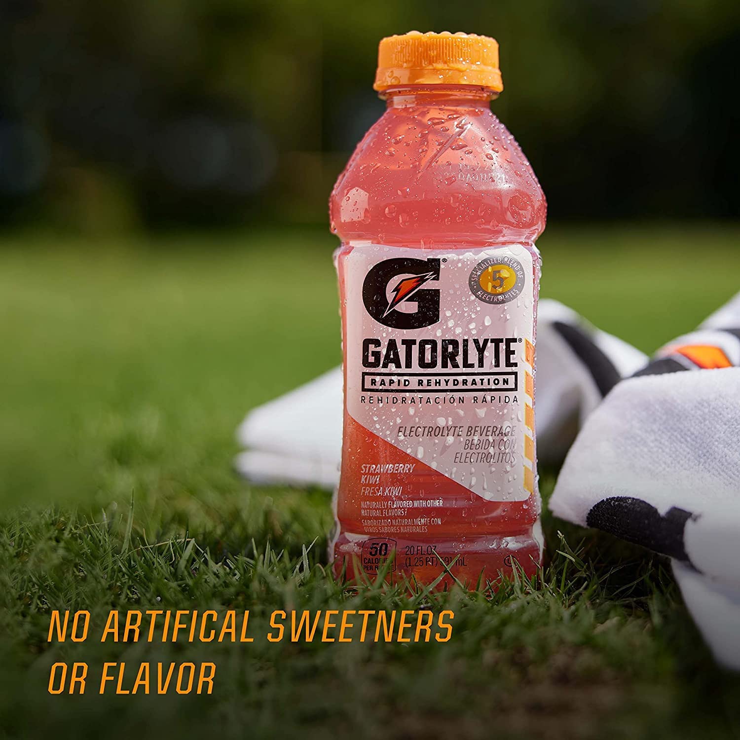 Gatorlyte Rapid Rehydration Electrolyte Beverage, Mixed Berry, 20oz Bottle